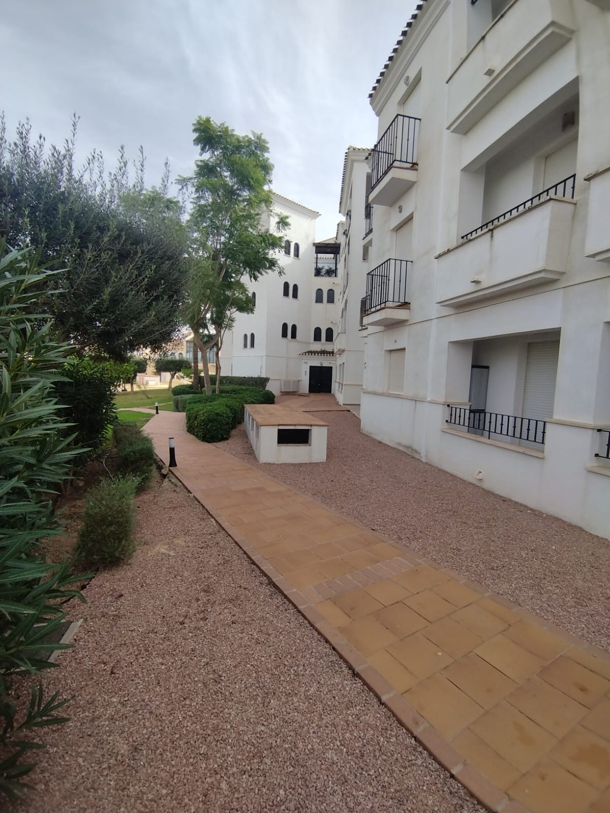 50028_CLL ATÚN (7).jpeg